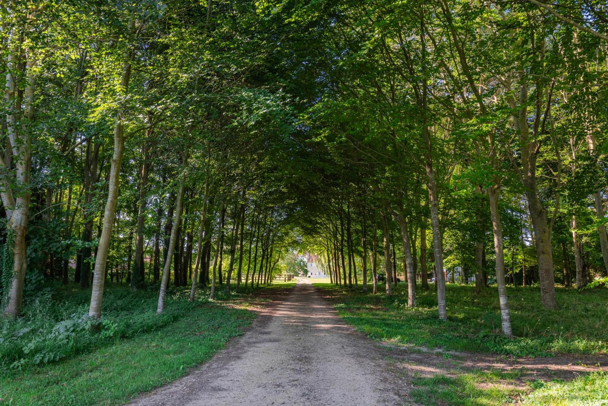 Maison "Jardin Gaillard" Bieville-en-Auge Dış mekan fotoğraf