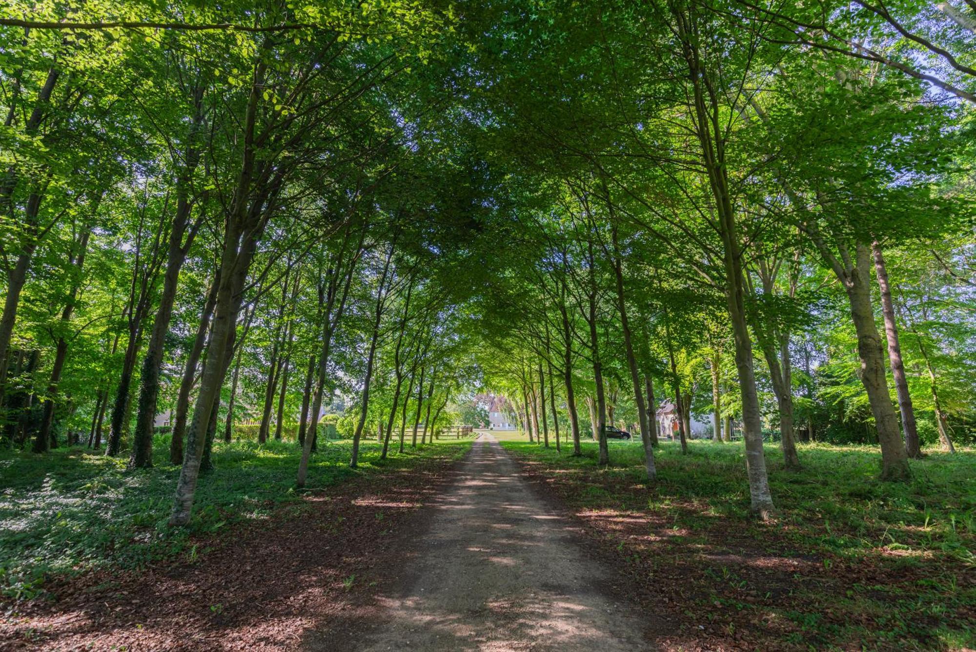 Maison "Jardin Gaillard" Bieville-en-Auge Dış mekan fotoğraf